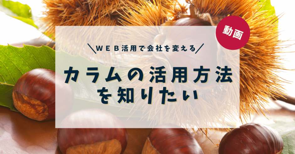 カラムの活用方法を知りたい