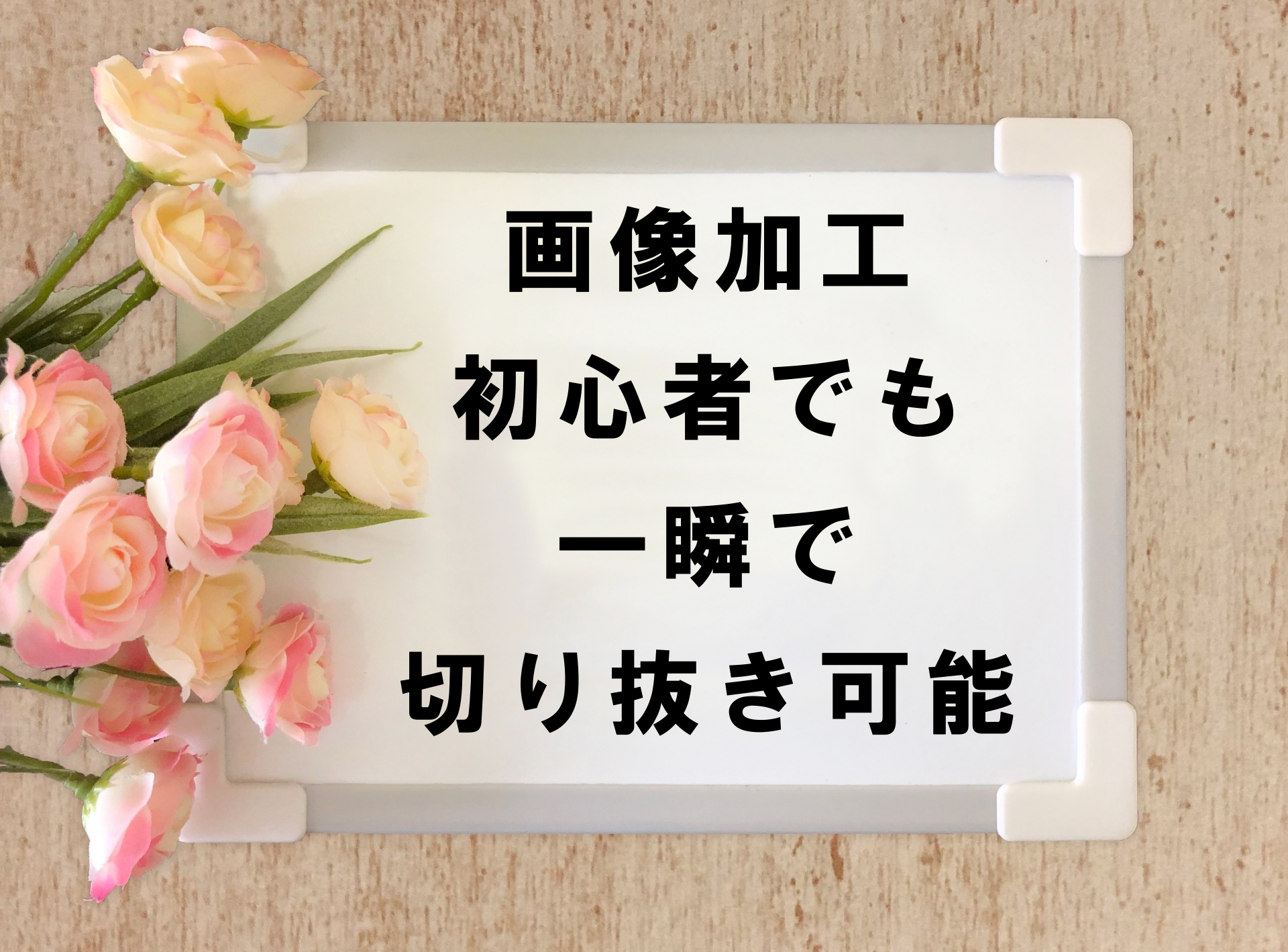 画像加工は誰でもできる時代になりました。  WEBシステム研究所 岐阜 